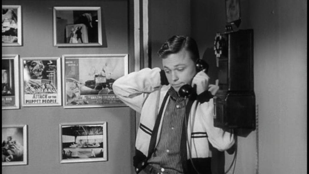 (Bild für) Die Rache der schwarzen Spinne - 1958 (DVD+R uncut)