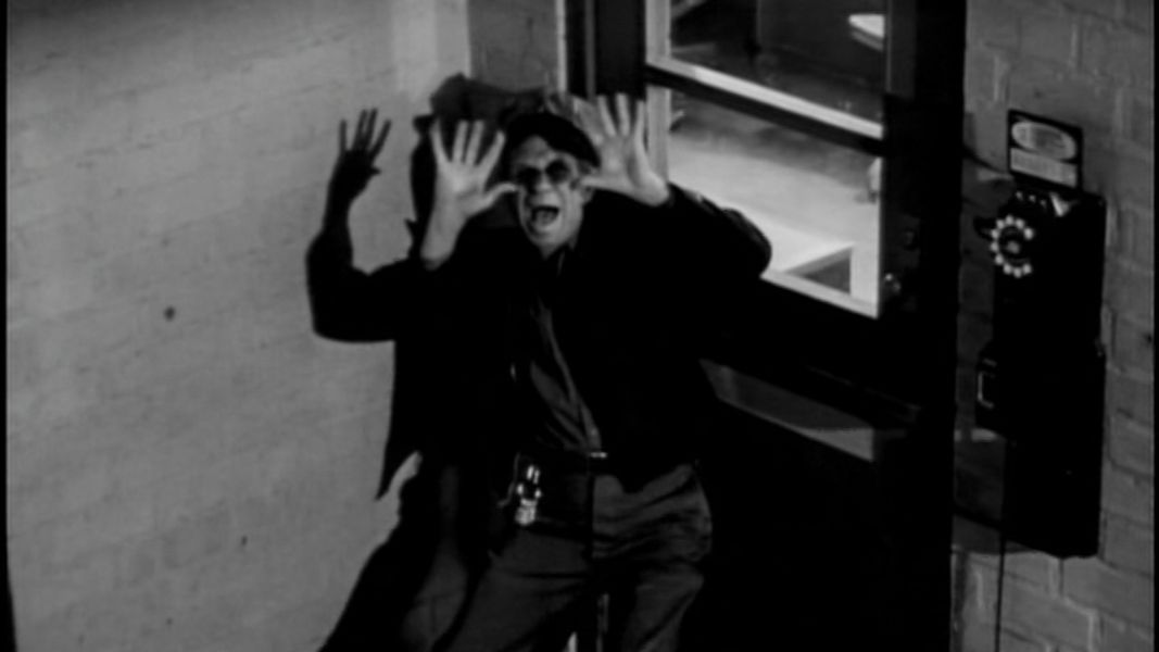 (Bild für) Die Rache der schwarzen Spinne - 1958 (DVD+R uncut)