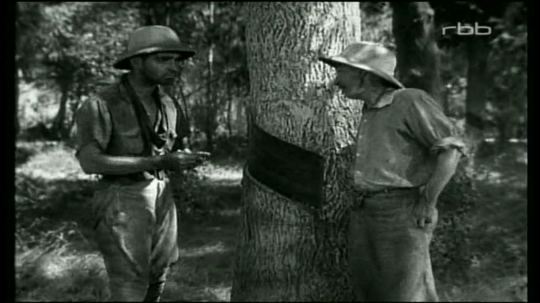 (Bild für) Dschungel im Sturm - 1932 (DVD+R uncut)