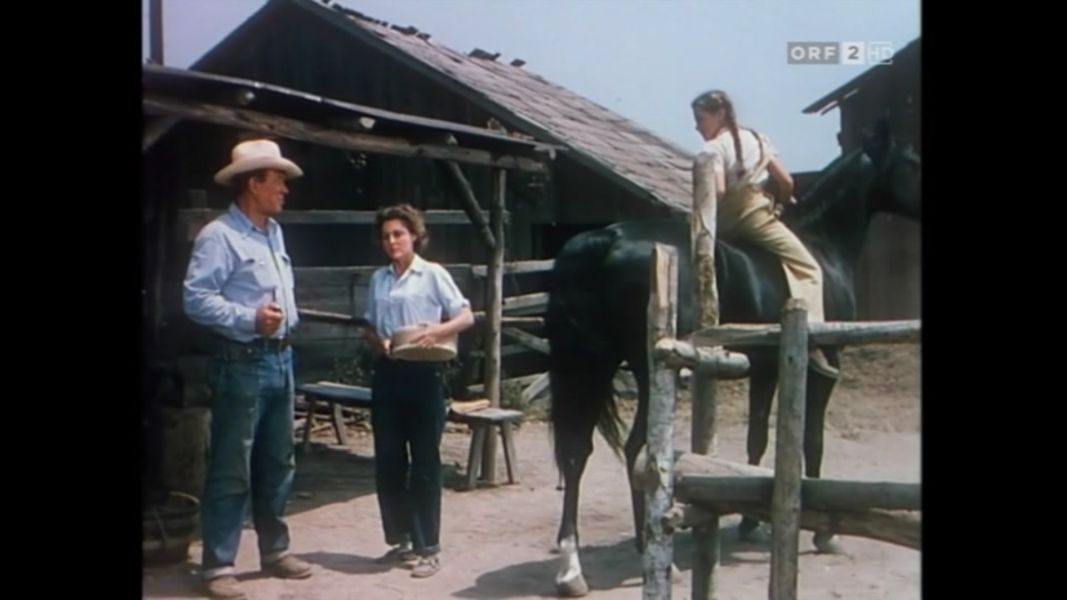 (Bild für) Treue - Gypsy Colt - 1954 (DVD+R uncut)