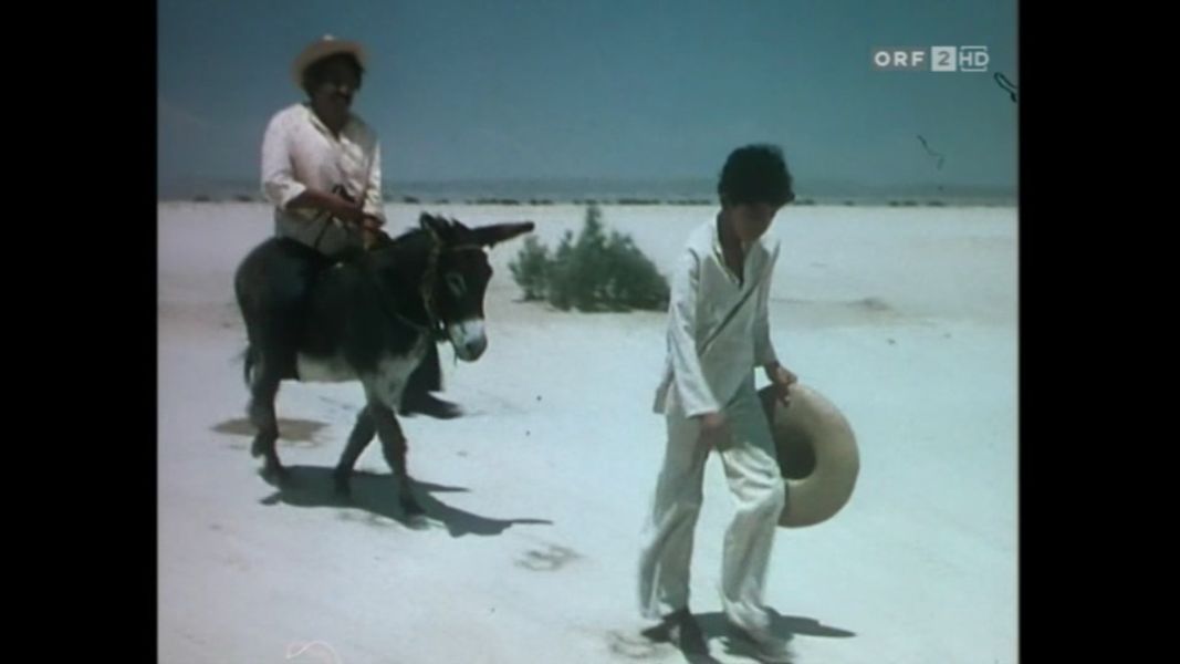 (Bild für) Treue - Gypsy Colt - 1954 (DVD+R uncut)
