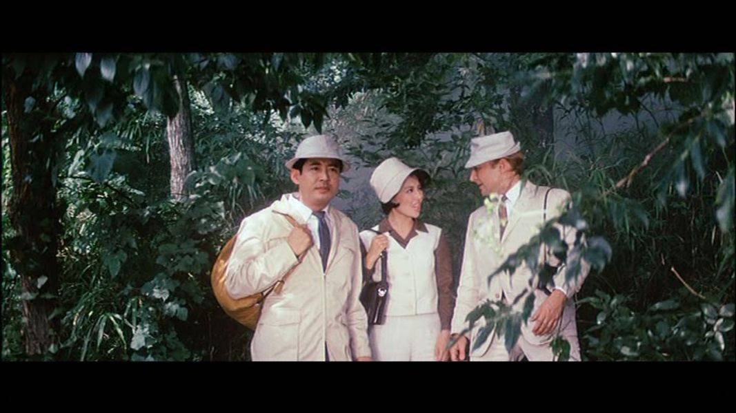 (Bild für) Frankenstein - Der Schrecken mit dem Affengesicht - 1965 (DVD+R uncut)