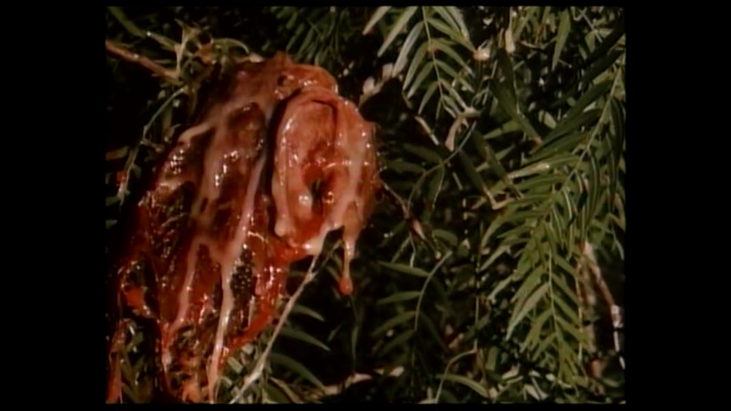 (Bild für) Der Planet Saturn lässt schön grüssen - 1977 (DVD+R uncut)