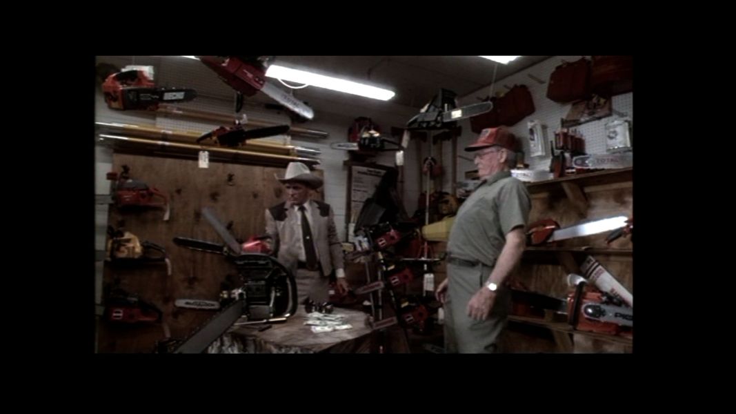 (Bild für) The Texas Chainsaw Massacre 2 - 1986 (DVD+R uncut)