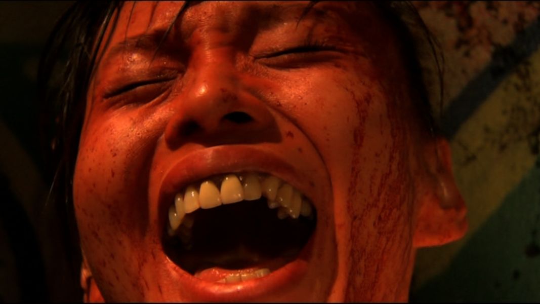 (Bild für) Tokyo Gore Police - 2008 (DVD+R uncut)