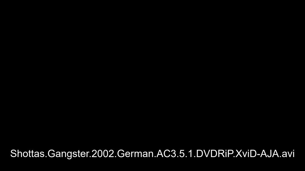 (Bild für) Shottas - 2002 (DVD+R uncut)
