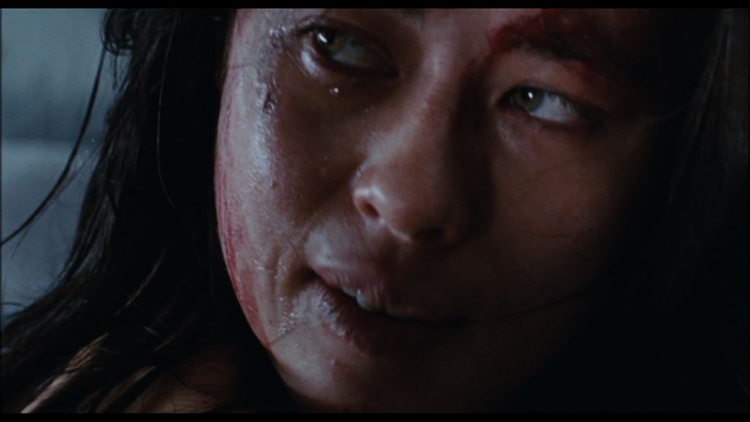 (Bild für) Martyrs - 2008 (DVD+R uncut)
