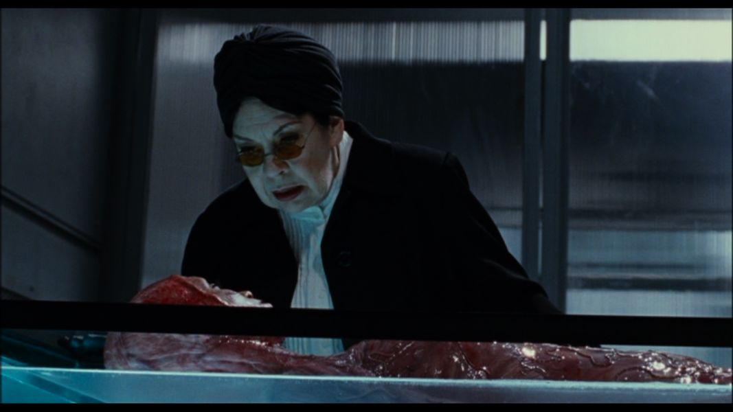 (Bild für) Martyrs - 2008 (DVD+R uncut)