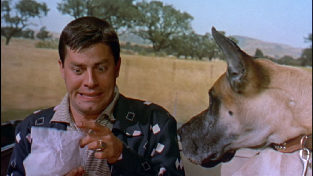 (Bild für) Jerry Lewis - Alles um Anita - 1956 (DVD+R uncut)