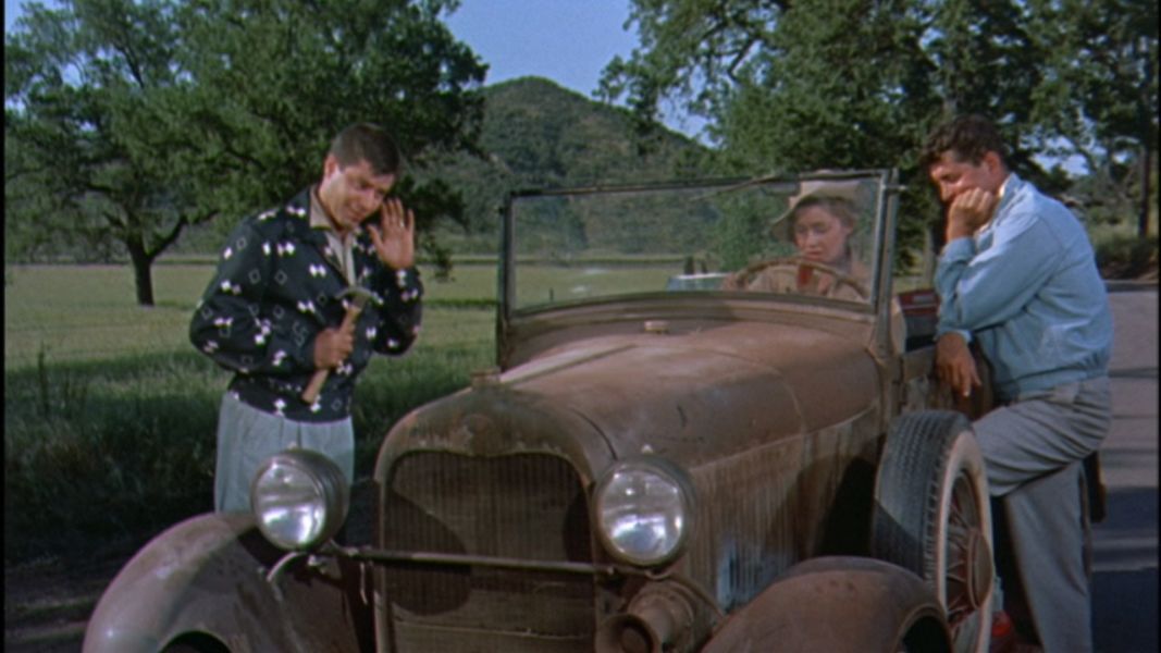 (Bild für) Jerry Lewis - Alles um Anita - 1956 (DVD+R uncut)