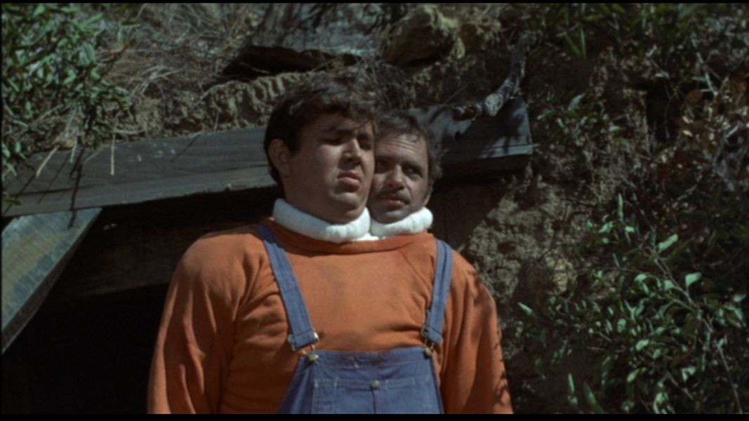 (Bild für) Das Ding mit den 2 Köpfen - 1971 (DVD+R uncut)