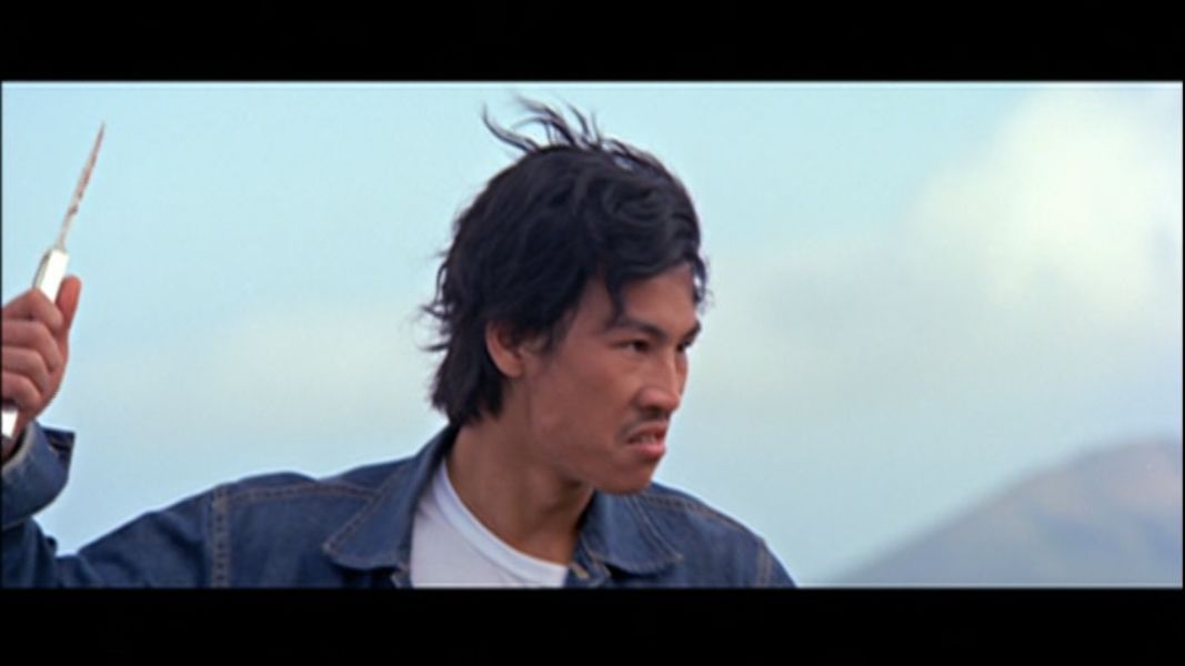 (Bild für) Wang Yung - Stahlharte Hongkongkiller - 1973 (DVD+R uncut)