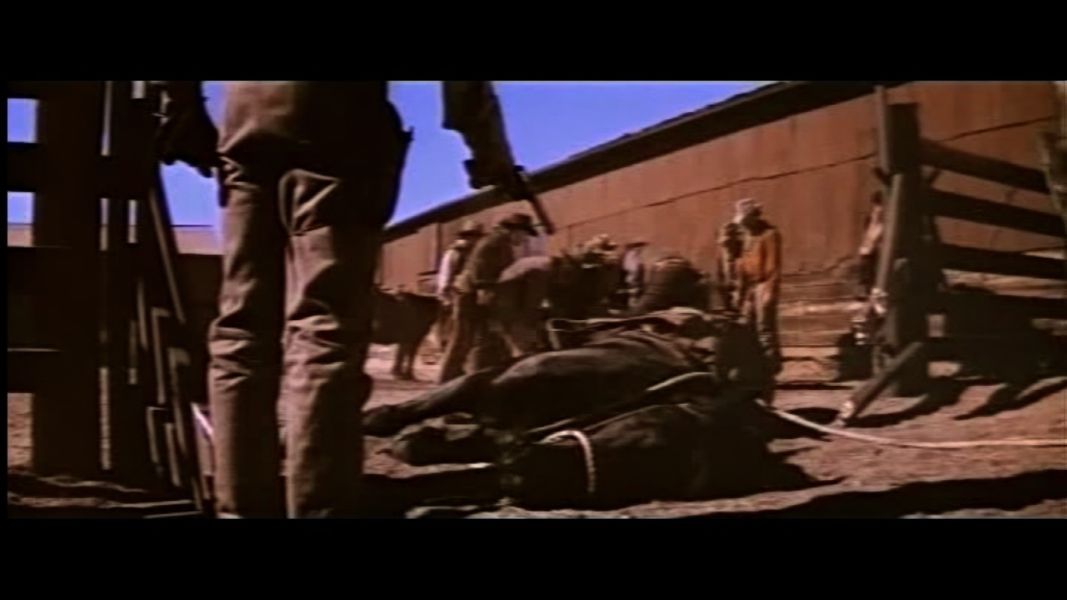 (Bild für) Missouri - 1971 (DVD+R)