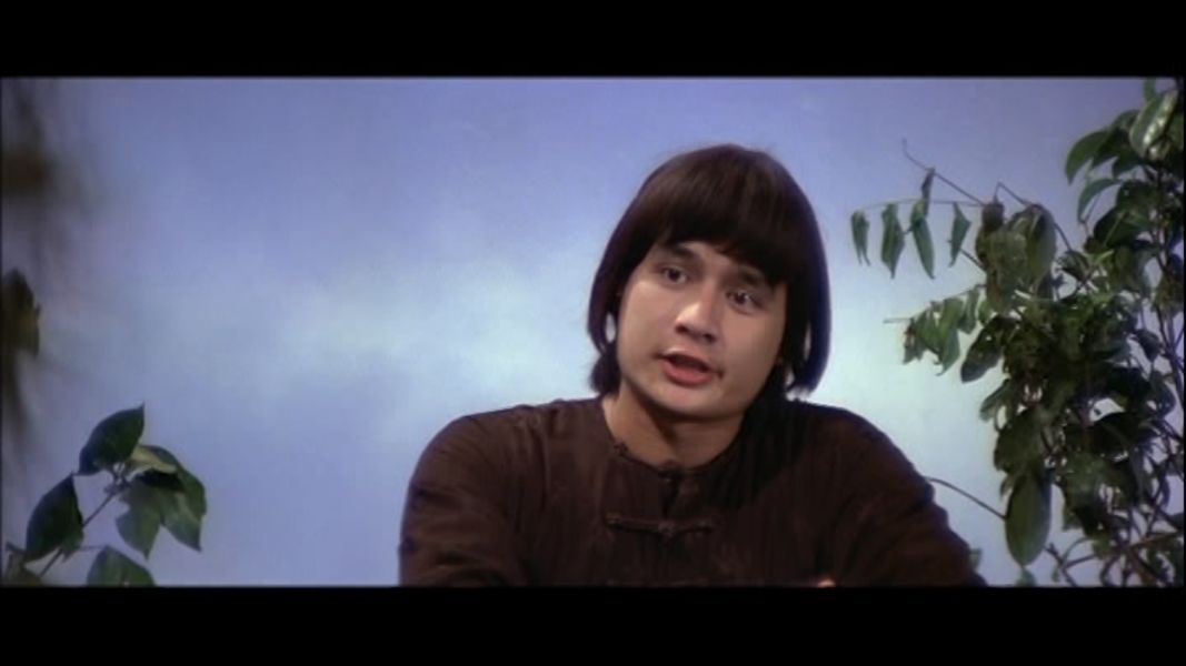 (Bild für) Die Tiger von Kwantung - 1975 (DVD+R uncut)