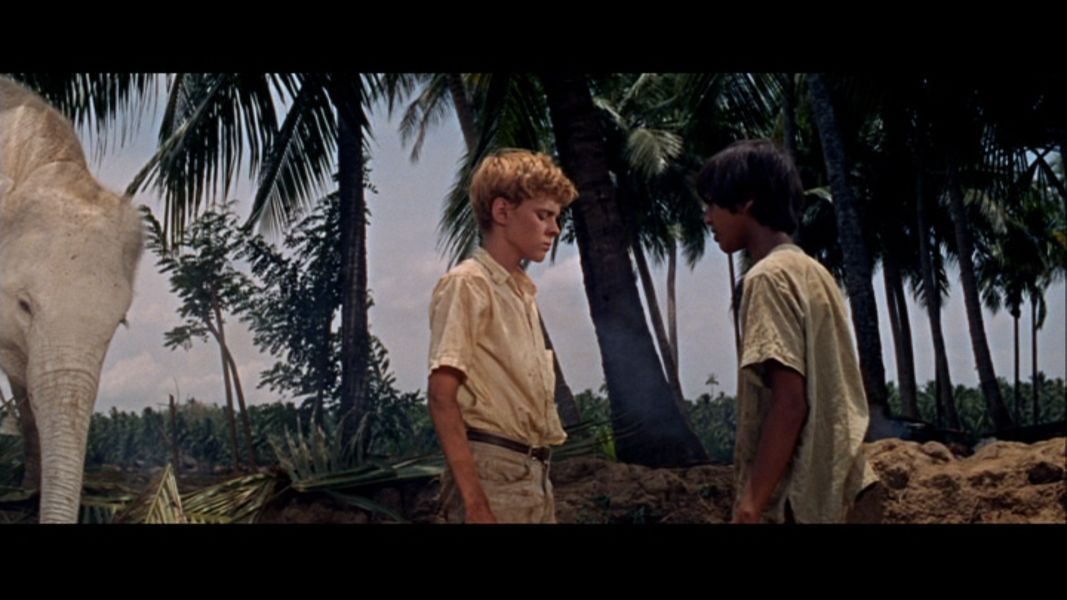 (Bild für) Maya - Gefahr im Tal der Tiger - 1966 (DVD+R uncut)