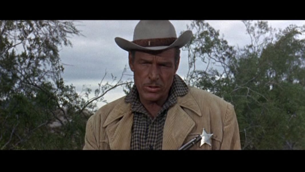 (Bild für) Goldtransport durch Arizona - 1965 (DVD+R uncut)