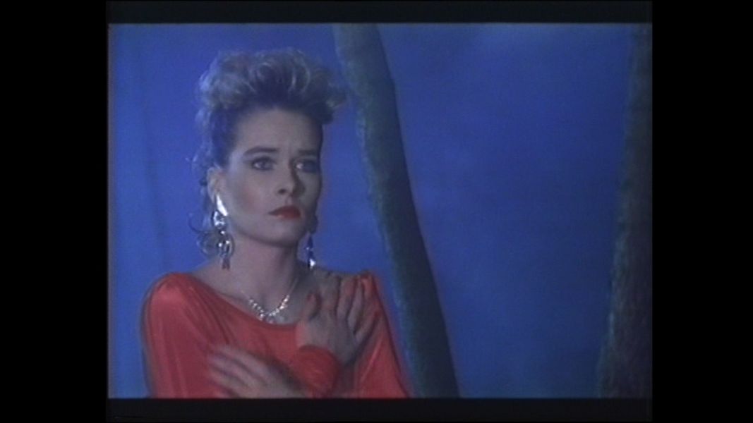(Bild für) Specters - 1987 (DVD+R uncut)