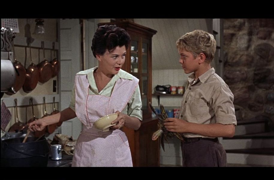 (Bild für) Mein Freund Red - 1962 (DVD+R uncut)