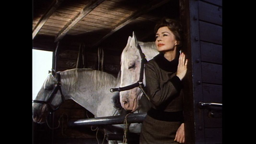 (Bild für) Die Flucht der weißen Hengste - 1963 (DVD+R uncut)