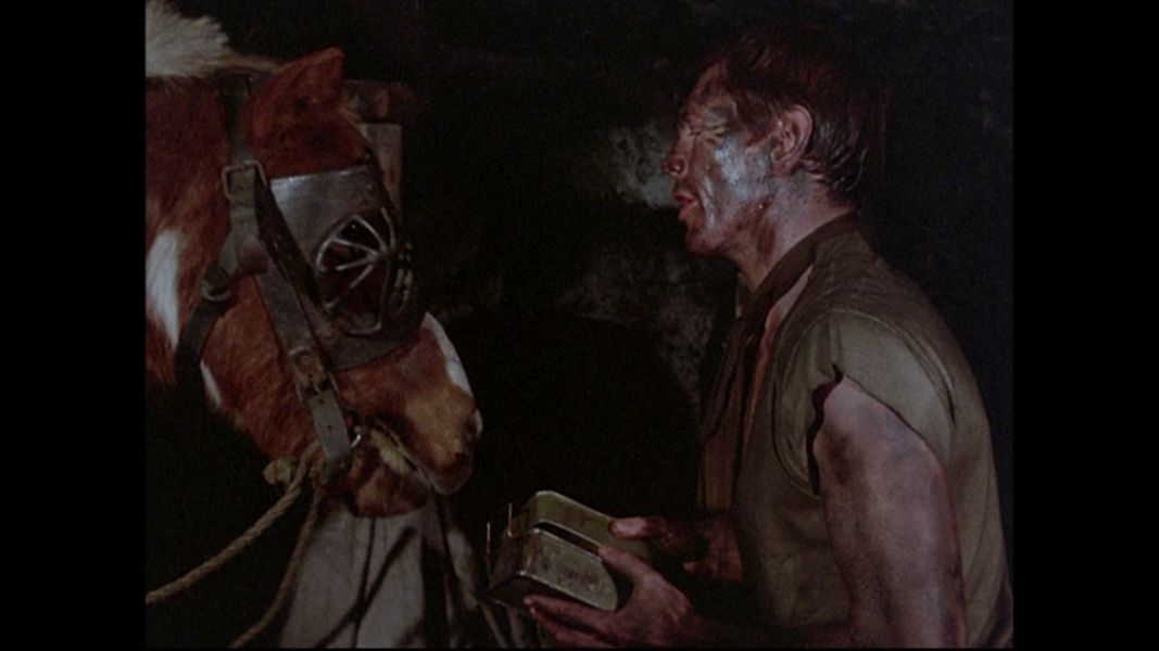 (Bild für) Die Kleinen Pferdediebe - 1977 (DVD+R uncut)