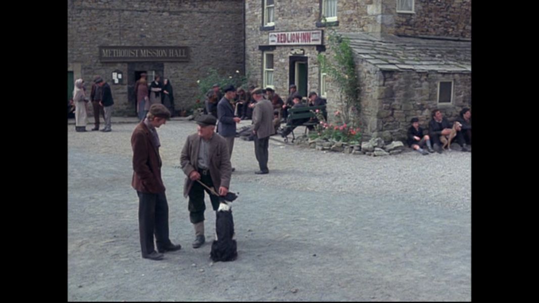(Bild für) Die Kleinen Pferdediebe - 1977 (DVD+R uncut)