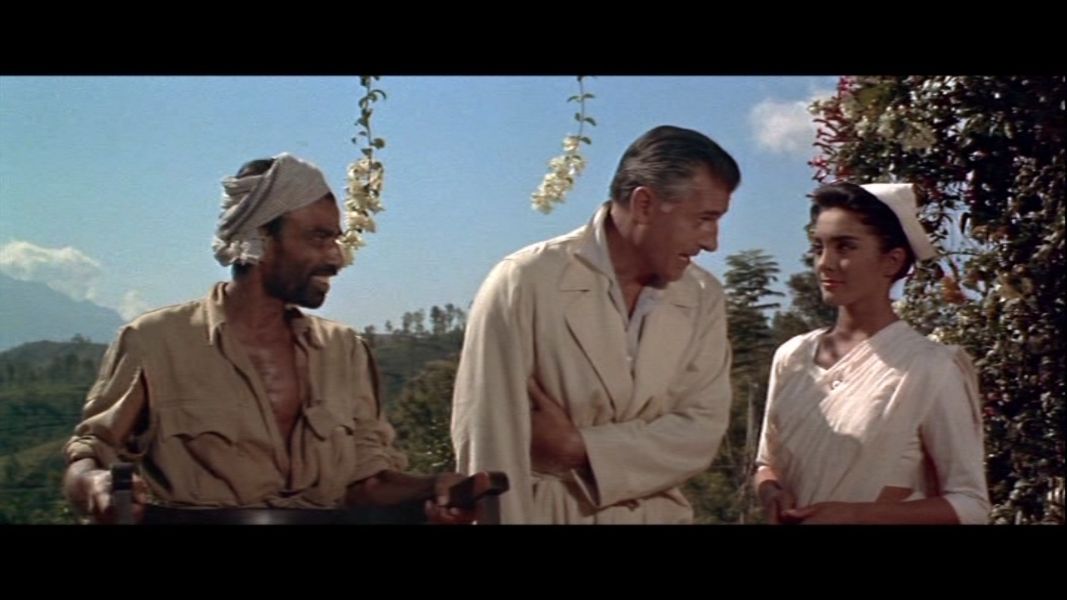 (Bild für) Die Pranke des Tigers - 1958 (DVD+R uncut)