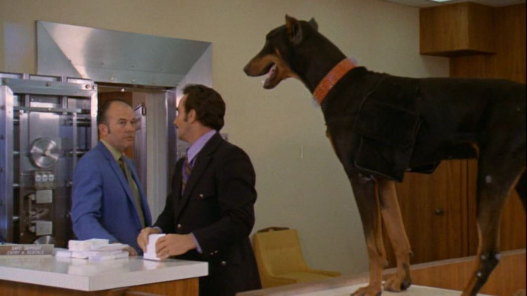 (Bild für) Die Dobermann Bande (DVD+R uncut)