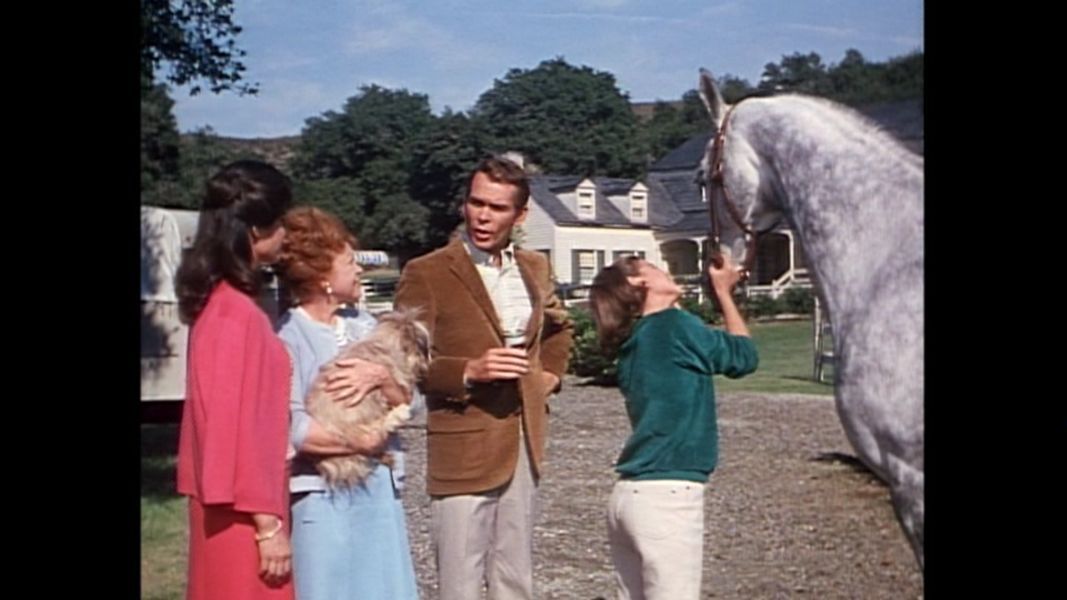 (Bild für) Der Hengst im grauen Flanellanzug - 1968 (DVD+R uncut)