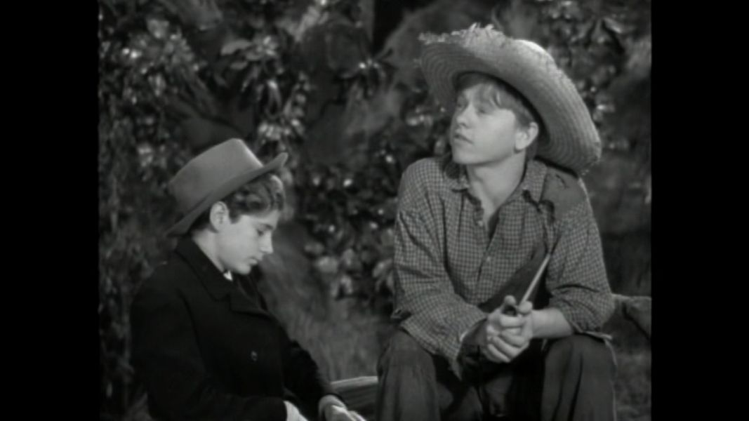 (Bild für) Die Abenteuer des Huckleberry Finn - 1939 (DVD+R uncut)