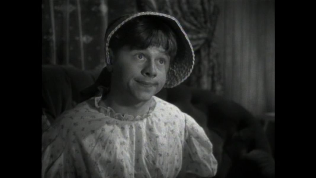 (Bild für) Die Abenteuer des Huckleberry Finn - 1939 (DVD+R uncut)