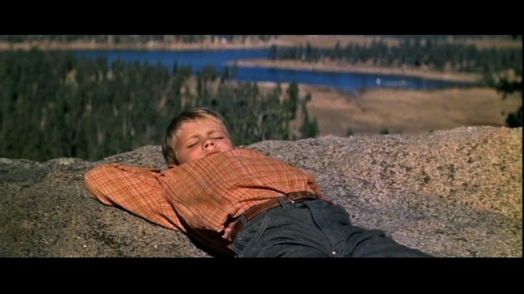 (Bild für) Ungebändigt - 1959 (DVD+R uncut)