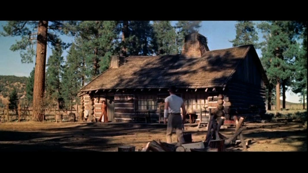(Bild für) Ungebändigt - 1959 (DVD+R uncut)