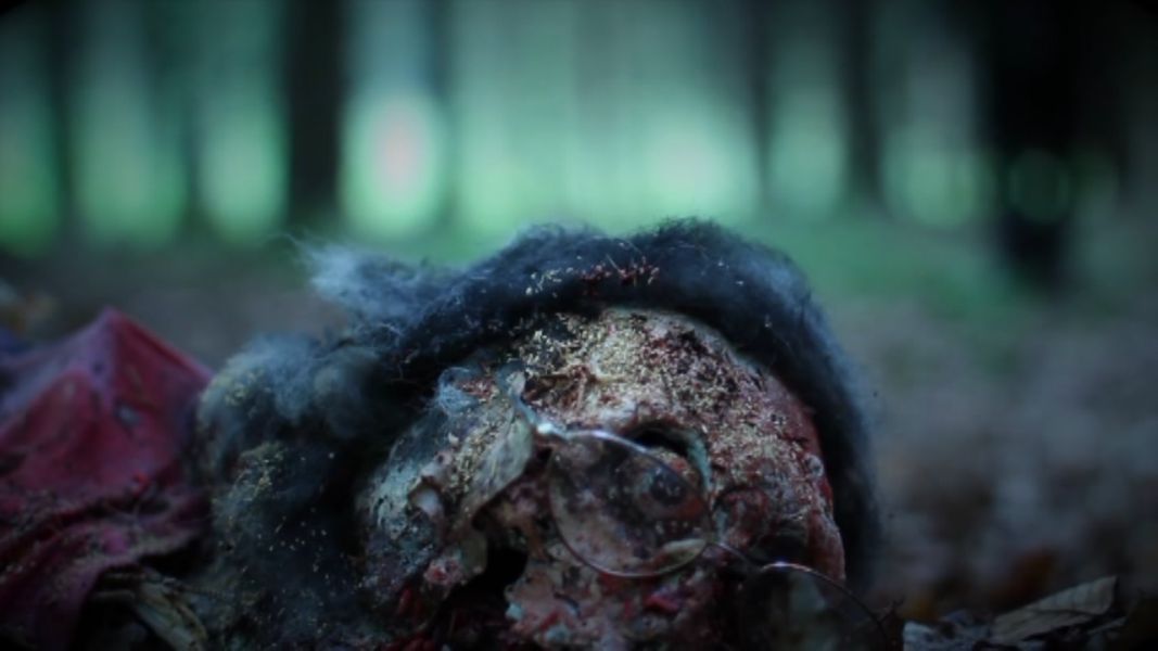 (Bild für) Schäferhund Süß-Sauer - 2013 (DVD+R uncut)