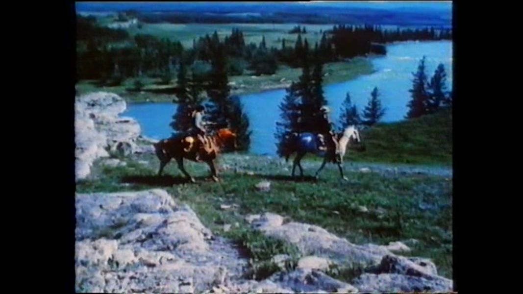 (Bild für) Grisly der König der Bären - 1970 (DVD+R uncut)