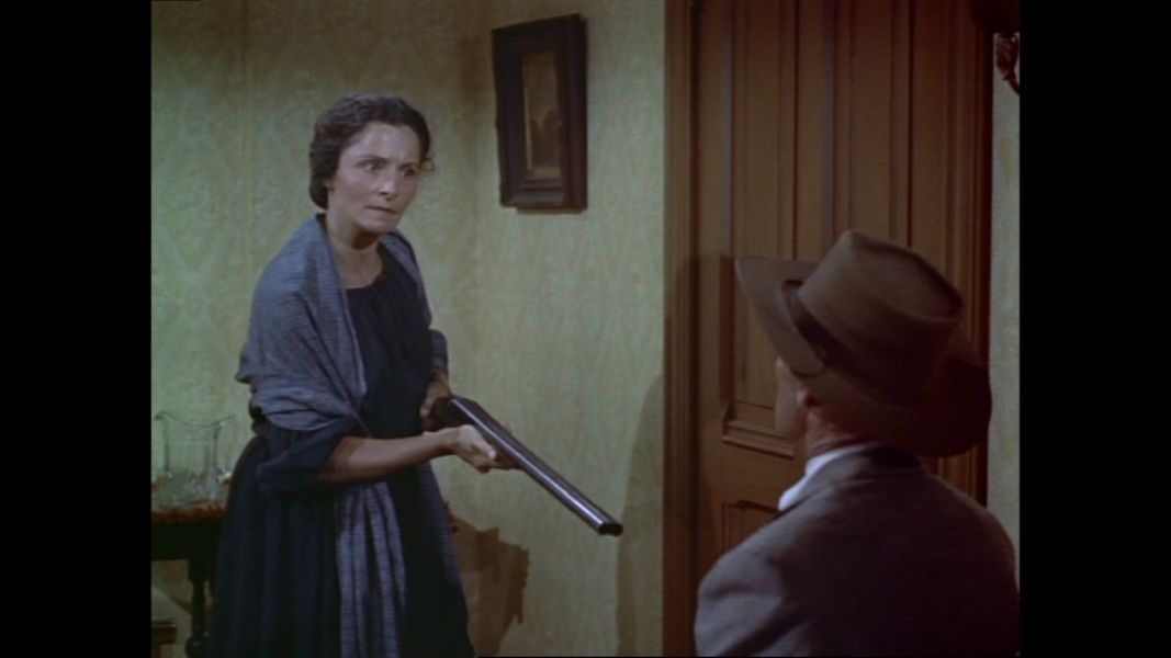 (Bild für) Ritter der Prärie - 1954 (DVD+R uncut)
