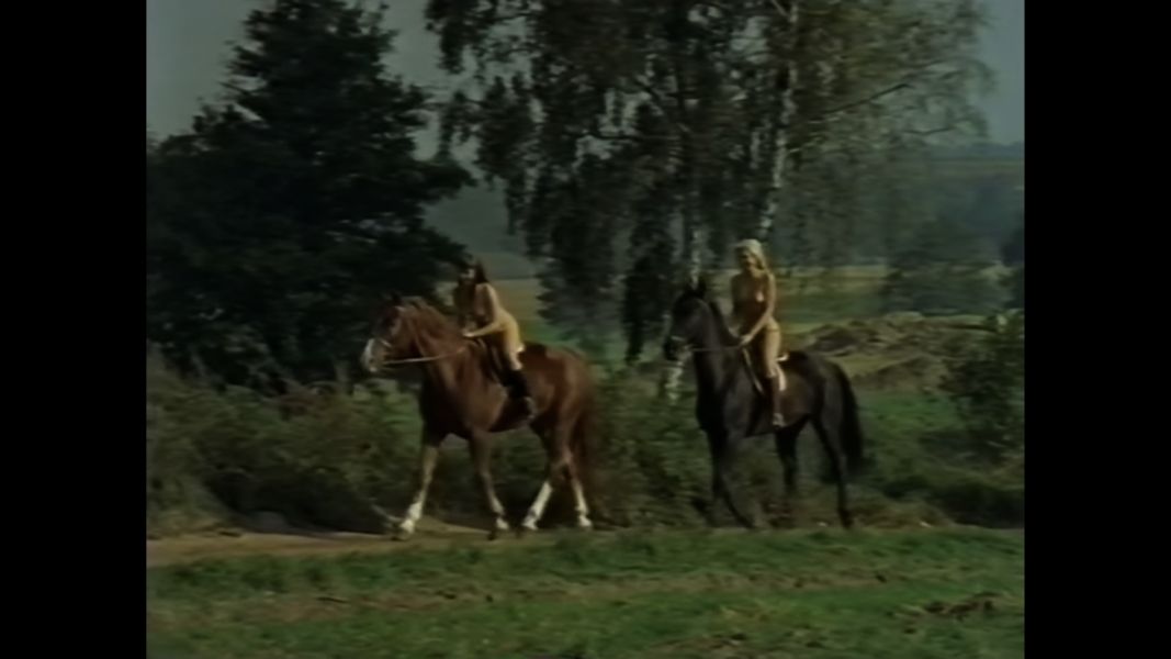 (Bild für) Die Liebestollen Baronessen - 1970 (DVD+R uncut)