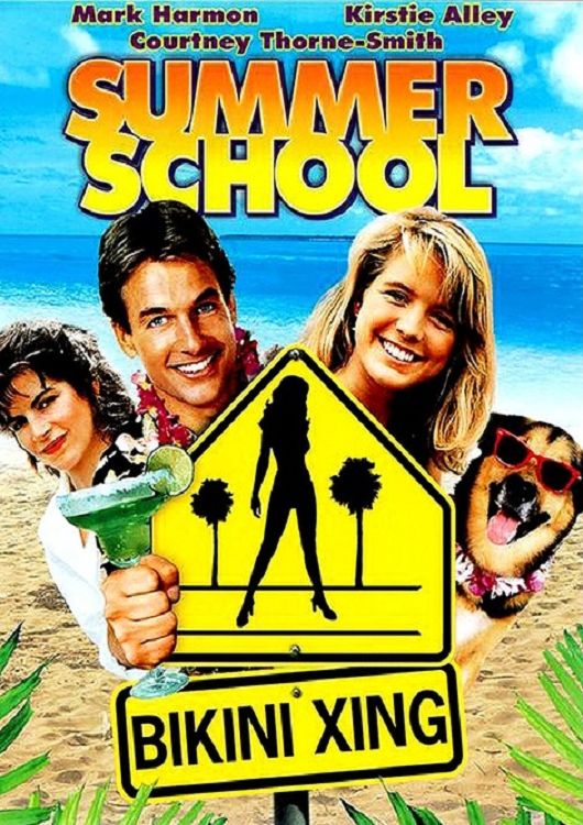 (Bild für) Summer School - 1987 (DVD+R uncut)