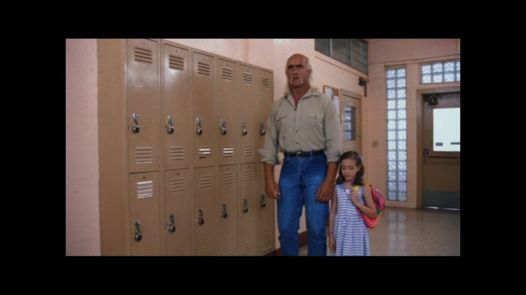 (Bild für) Mr. Nanny - 1993 (DVD+R uncut)
