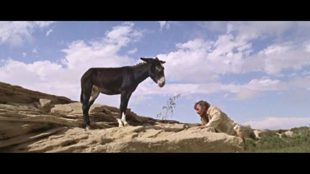 (Bild für) Sands of the Kalahari - 1965 (DVD+R uncut)