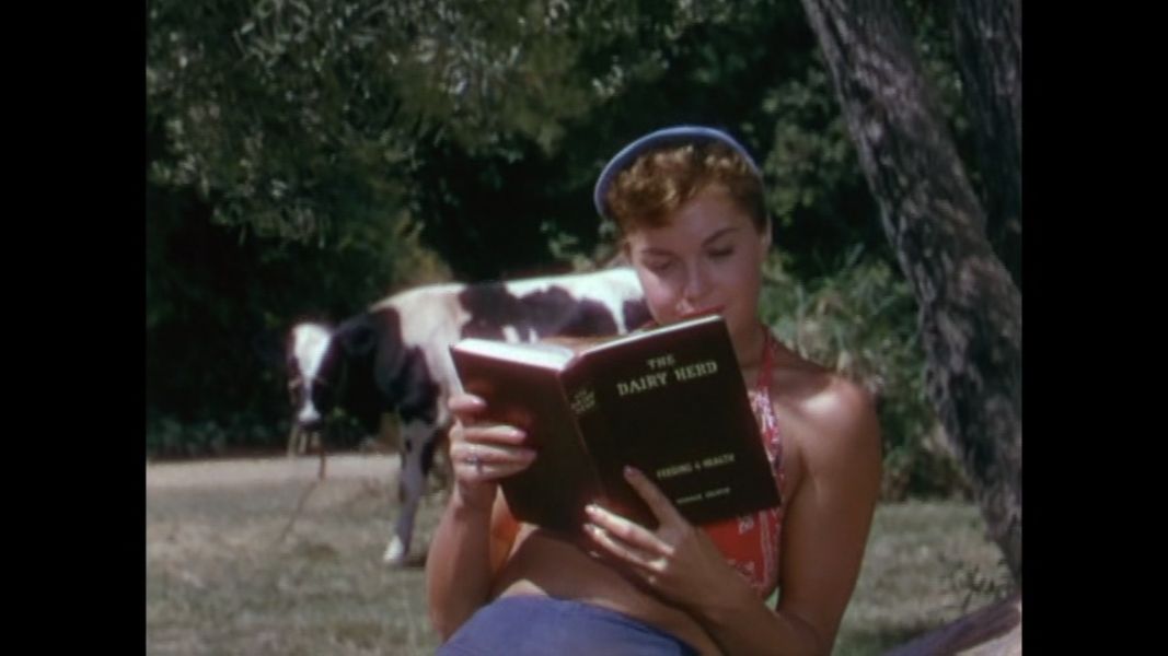 (Bild für) Die Wasserprinzessin - 1953 (DVD+R uncut)