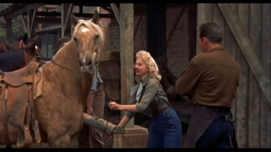 (Bild für) Galgenvögel - 1954 (DVD+R uncut)