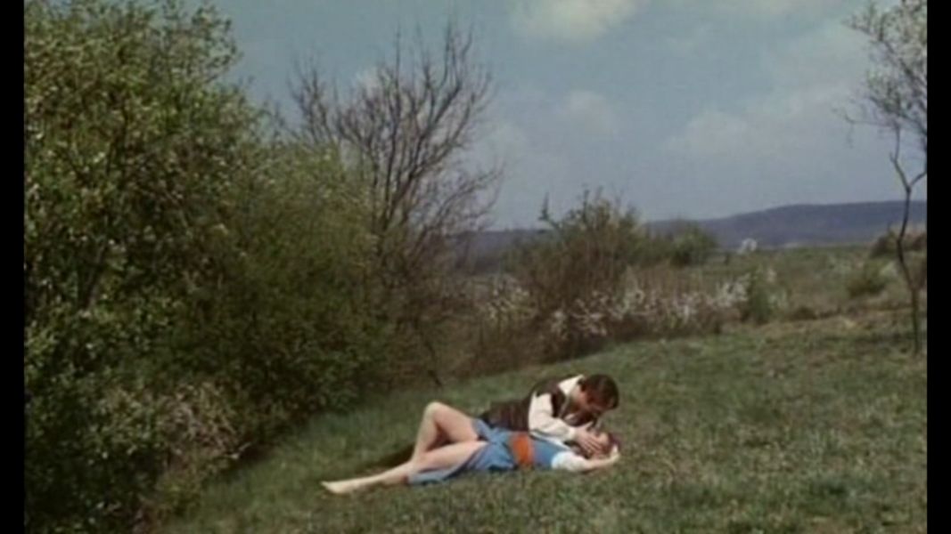 (Bild für) Der Turm der verbotenen Liebe - 1968 (DVD+R uncut)