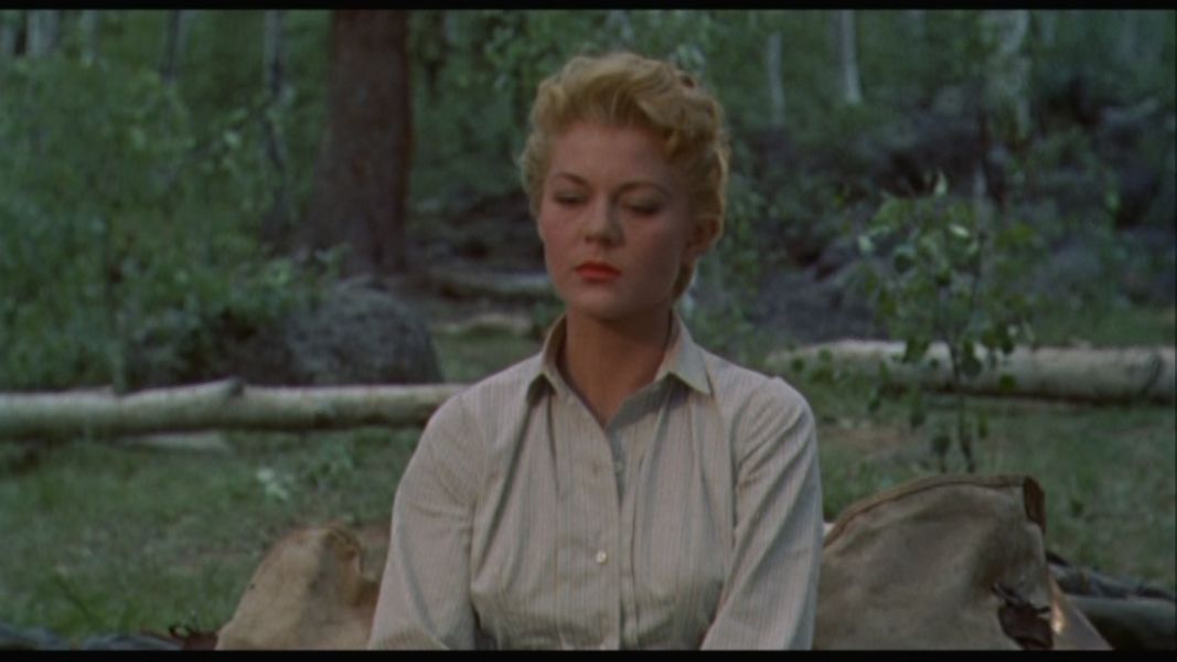(Bild für) Verraten und verkauft - 1956 (DVD+R uncut)