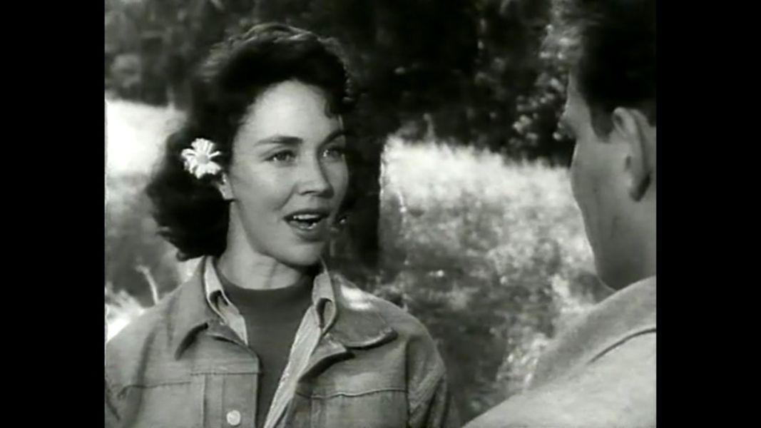 (Bild für) Wildes Blut - 1952 (DVD+R)