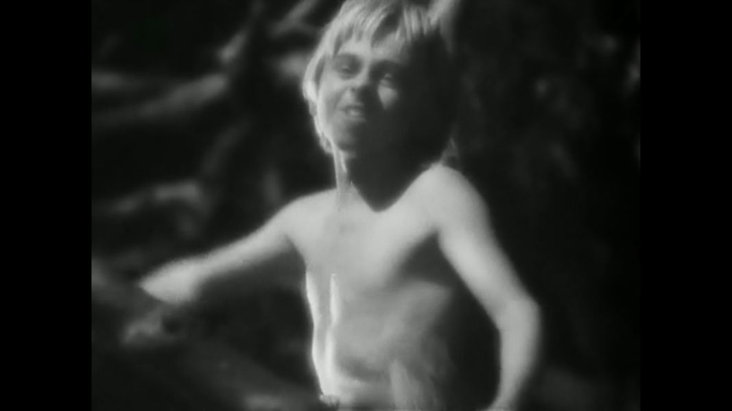 (Bild für) Ein Sommernachtstraum - 1935 (DVD+R uncut)