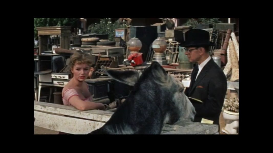 (Bild für) Engel unter Sündern - 1959 (DVD+R uncut)