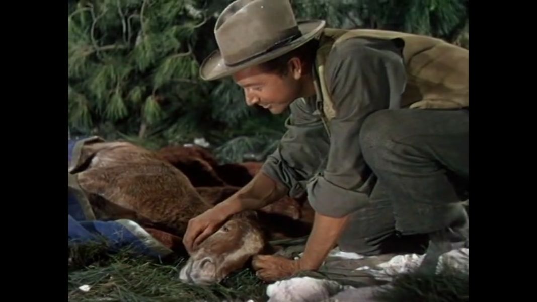 (Bild für) Blut und Gold - 1948 (DVD+R uncut)