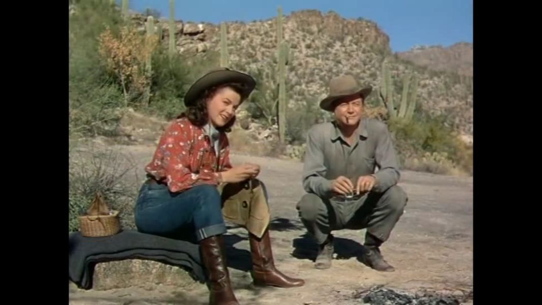 (Bild für) Blut und Gold - 1948 (DVD+R uncut)