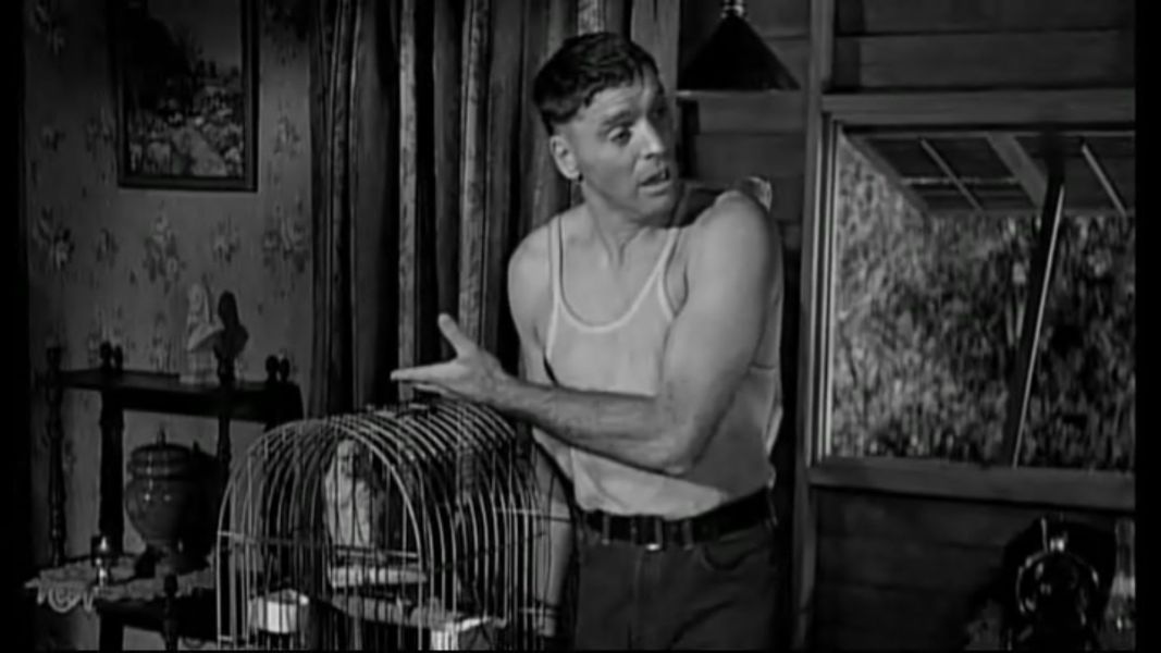 (Bild für) Die Tätowierte Rose - 1955 (DVD+R uncut)