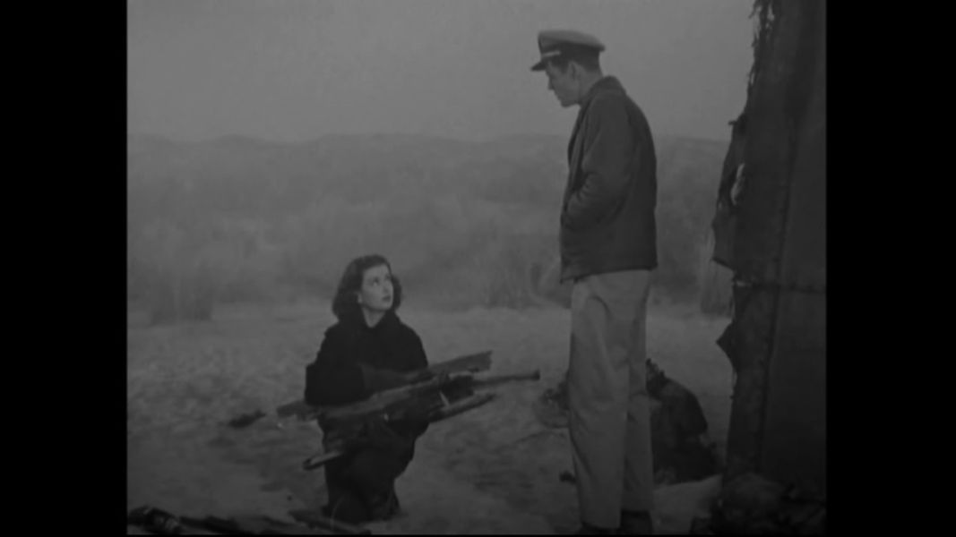 (Bild für) Die Frau am Strand - 1947 (DVD+R uncut)